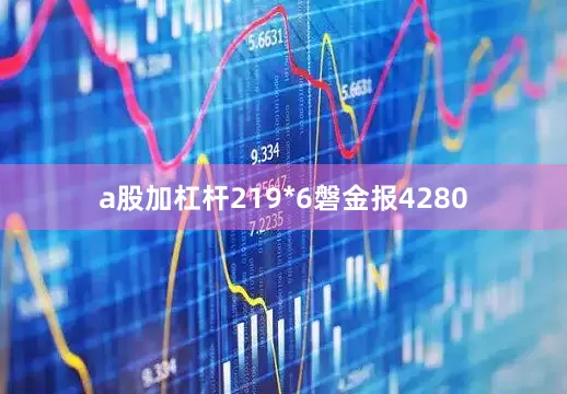 a股加杠杆219*6磐金报4280