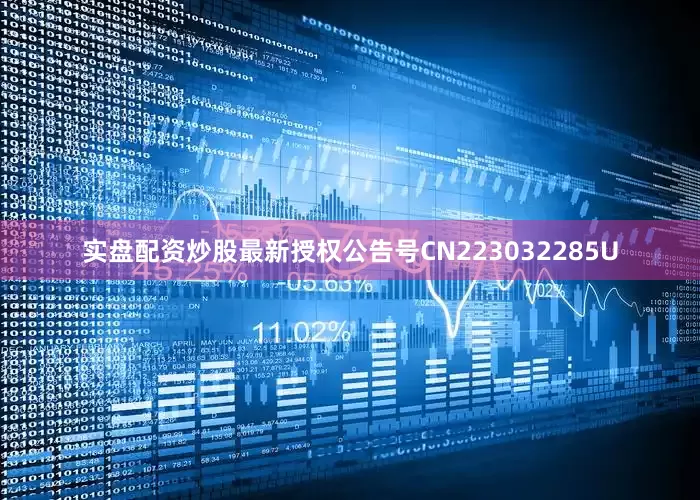 实盘配资炒股最新授权公告号CN223032285U