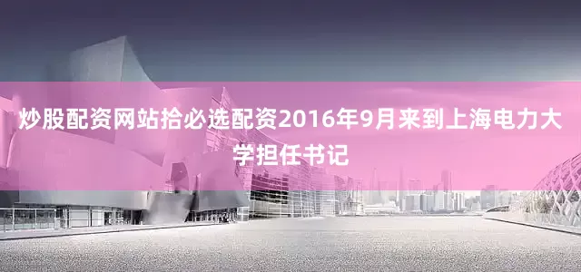 炒股配资网站拾必选配资2016年9月来到上海电力大学担任书记