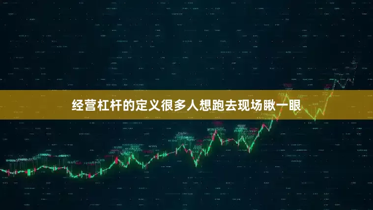 经营杠杆的定义很多人想跑去现场瞅一眼