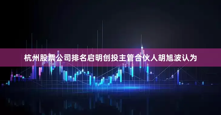 杭州股票公司排名启明创投主管合伙人胡旭波认为