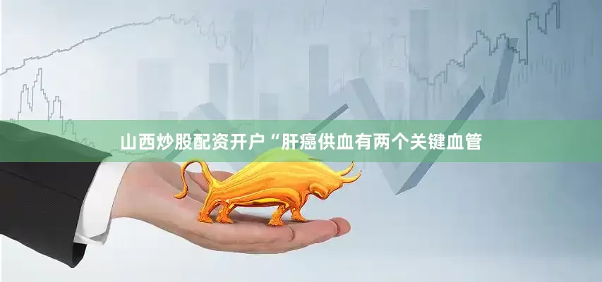 山西炒股配资开户“肝癌供血有两个关键血管